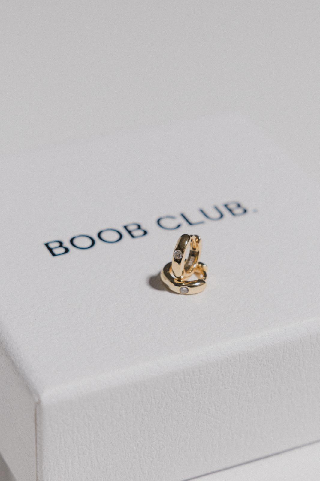 The 'Mini Hoop’ Earrings